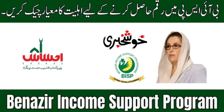 How to Easily Meet the 6 BISP Eligibility Criteria for Financial Assistance