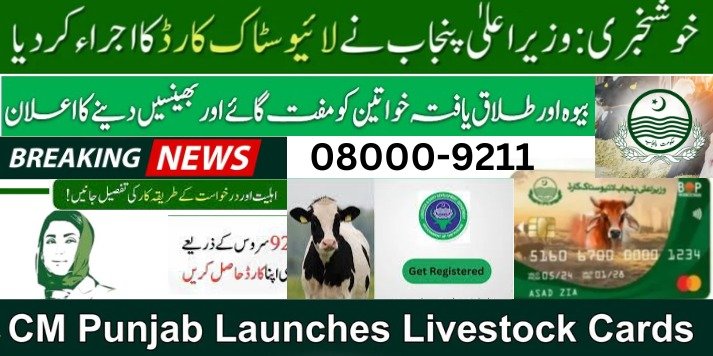 Punjab Government Empowers Rural Women with Free Livestock to Achieve Financial Stability in 2024