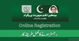BISP Program